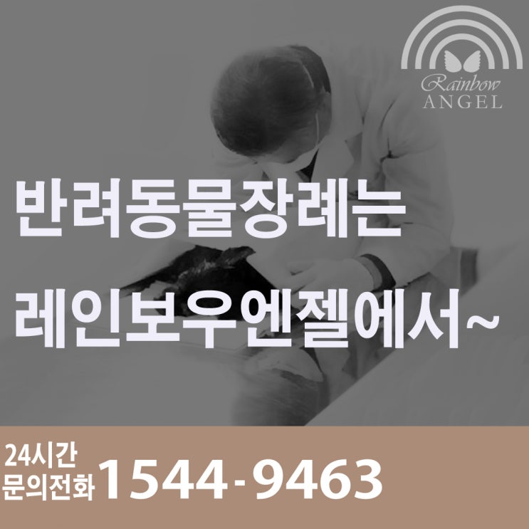  강아지장례식장 애견장례식장 반려견장례업체[레인보우엔젤]