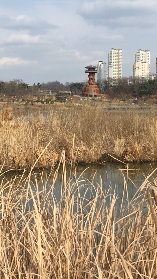  따뜻한 봄날