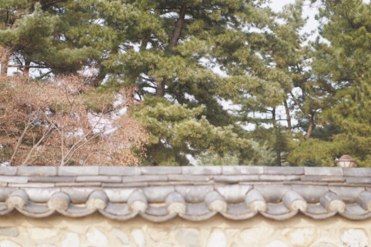  2박 3일 경주여행 정보 #1 (경비, 숙소, 날씨, 옷차림 등 )