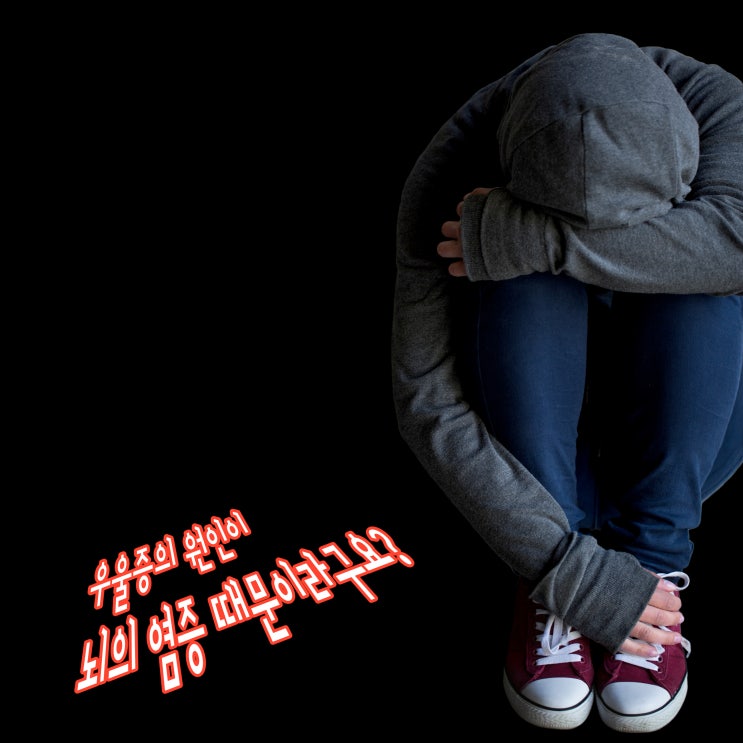  우울증이라면 뇌의 염증부터 해결하자!