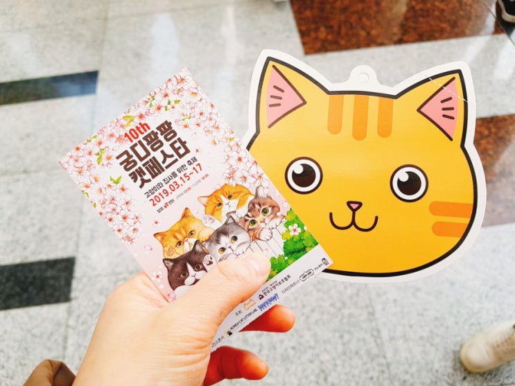  2019년 3월 궁디팡팡캣페스타에 다녀왔어요!