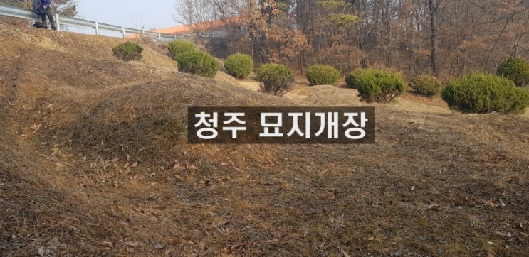  청주 산소개장 사례