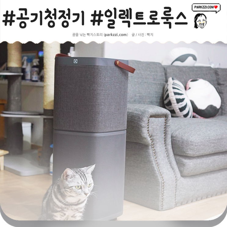  일렉트로룩스 공기청정기 퓨어 A9 개봉기! 고양이들도 좋아해~