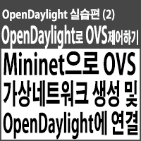 Mininet으로 OVS 가상네트워크 생성 및 OpenDaylight 연결하기
