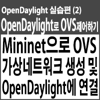  Mininet으로 OVS 가상네트워크 생성 및 OpenDaylight 연결하기