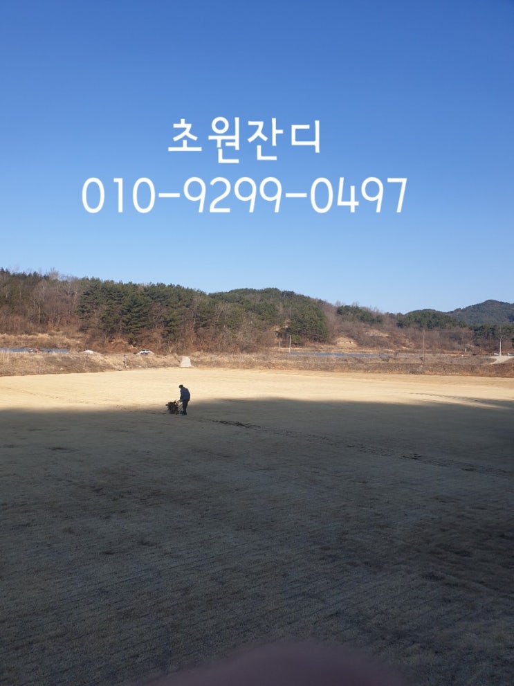  토종잔디판매와 잔디가격 알아보기 -초원잔디