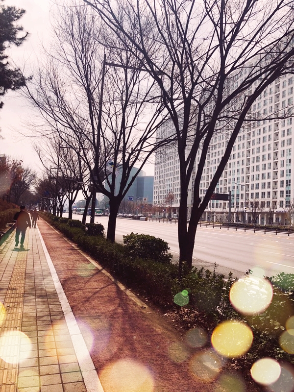  감기에 걸렸을 때 - 온열돔으로 냉기 잡아주면 OK