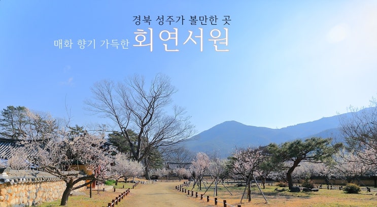  경북 성주가 볼만한 곳 매화 향기 가득한 회연서원