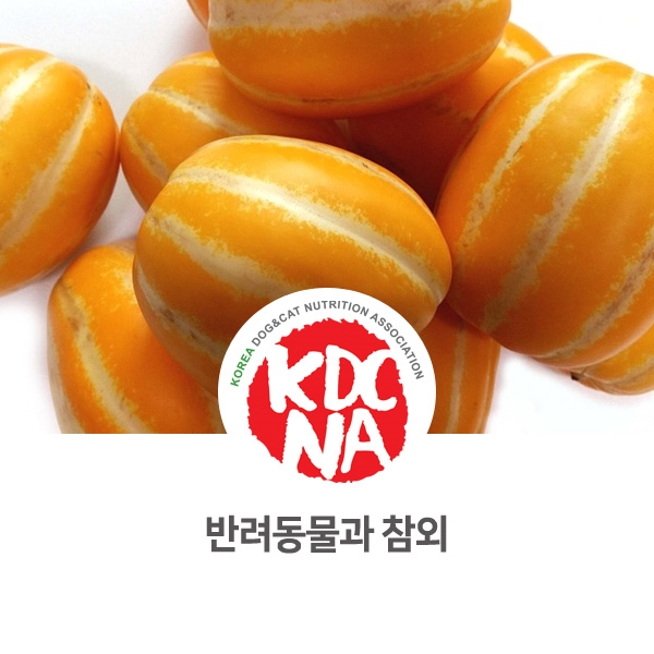  [강아지 고양이 영양 정보] 반려동물 참외 먹어도 되나요?_86