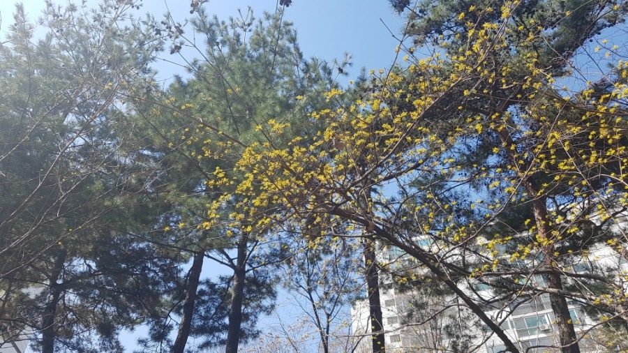 파리바게뜨 금호1가점 사진 4