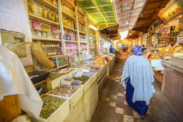 모로코 여행 #21 메크네스, 4대 메디나의 도시를 찾아서