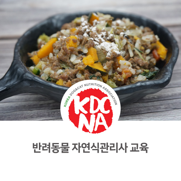  [반려동물 영양 전문 자격 교육] 강아지 자연식관리사 초급반 실습_38