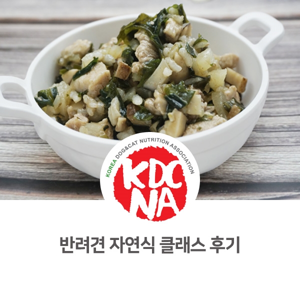  [반려동물 영양 전문 보호자 교육] 강아지 미역국 자연식 만들기_37