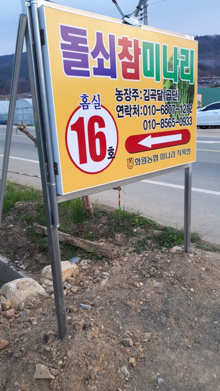  대구 명곡미나리마을