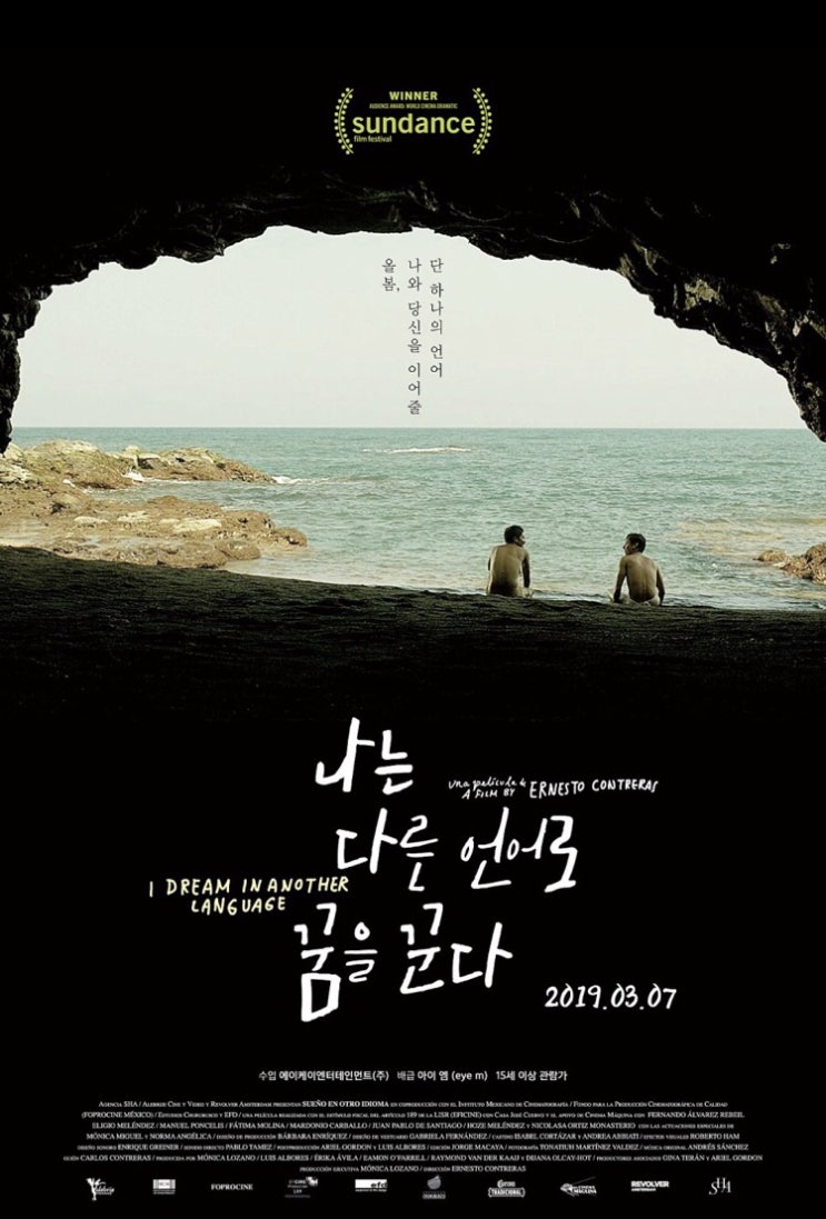 나는 다른 언어로 꿈을 꾼다 (2017)