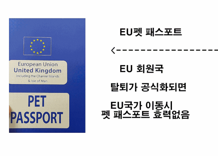  [영국강아지검역 고양이검역] 2019.3.29이후EU펫패스포트?EU국가입국시?사용가능?유럽출국규정강아지출국 고양이출국