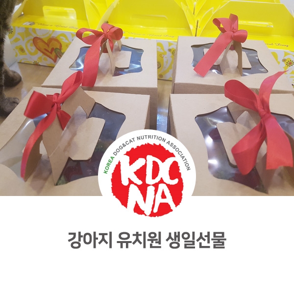  [반려동물 영양 전문 수제간식 창업] 애견유치원 생일 선물 답례품 제작_37