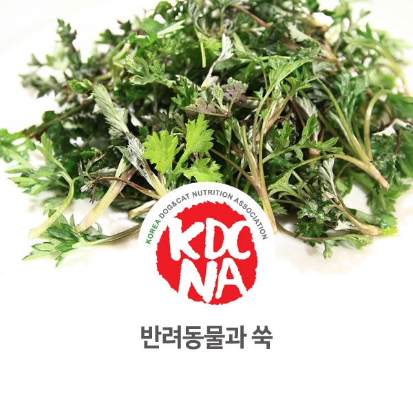  [강아지 고양이 영양 정보] 반려동물 쑥 먹어도 되나요?_80
