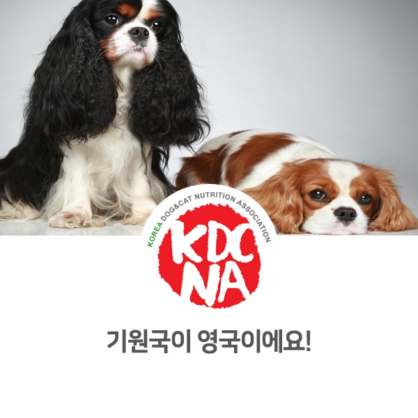  [반려동물 정보 뉴스] 영국에서 온 소형견과 중형견_13