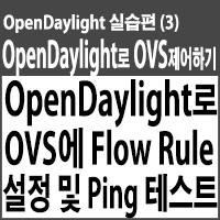 OpenDaylight로 OVS에 Flow Rule설정 및 Ping 테스트하기