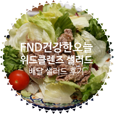 [간헐적 단식을 위한 다이어트 식단 추천] FND건강한오늘 위드클렌즈 샐러드 : 포켓사이즈로 언제 어디서든 간편하게 샐러드 배달 해보자