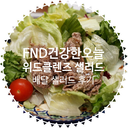  [간헐적 단식을 위한 다이어트 식단 추천] FND건강한오늘 위드클렌즈 샐러드 : 포켓사이즈로 언제 어디서든 간편하게 샐러드 배달 해보자