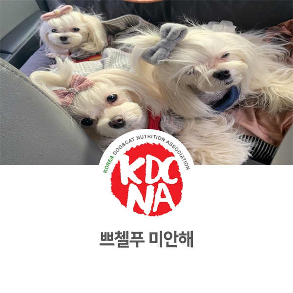 [강아지 고양이 수제간식 창업] 쁘띠푸드 가족들 외출 이야기_36