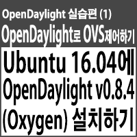 Ubuntu 16.04에 OpenDaylight Oxygen 설치하기