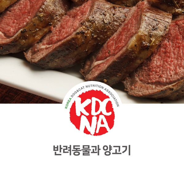  [강아지 고양이 영양 정보] 반려동물과 양고기 식재료의 효과_81
