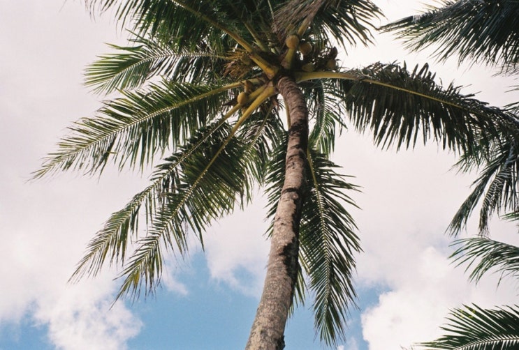  film 2 - Guam