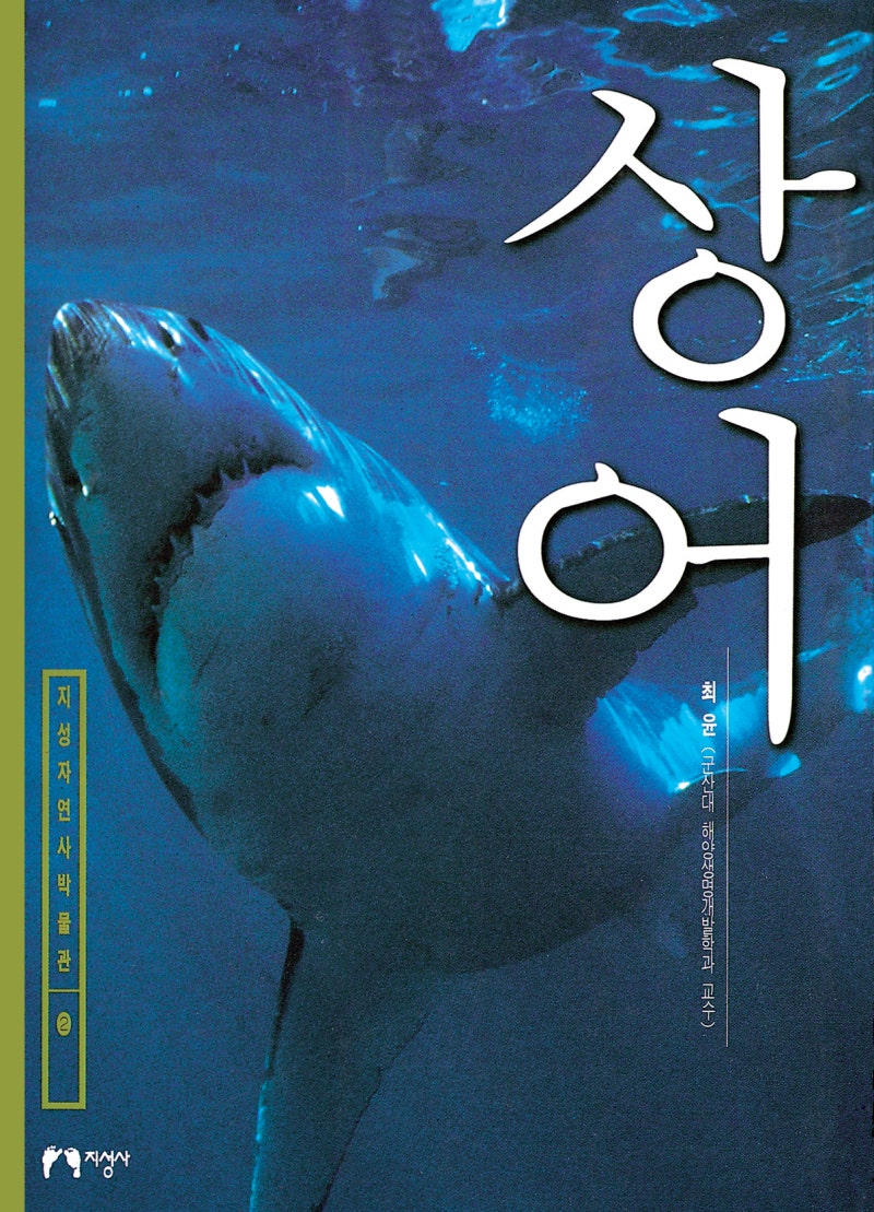 동물] 상어 - 자연사박물관 2 : 네이버 블로그, image size:800x1109