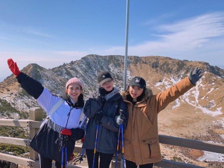  유채꽃 IN JEJU 