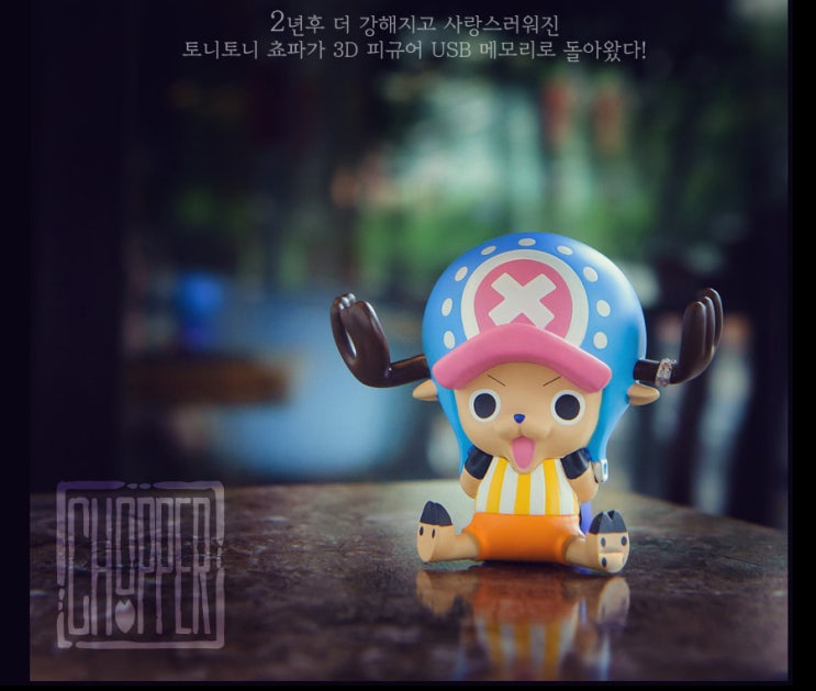  원피스 쵸파 3D 피규어 USB 메모리 귀여워요 !