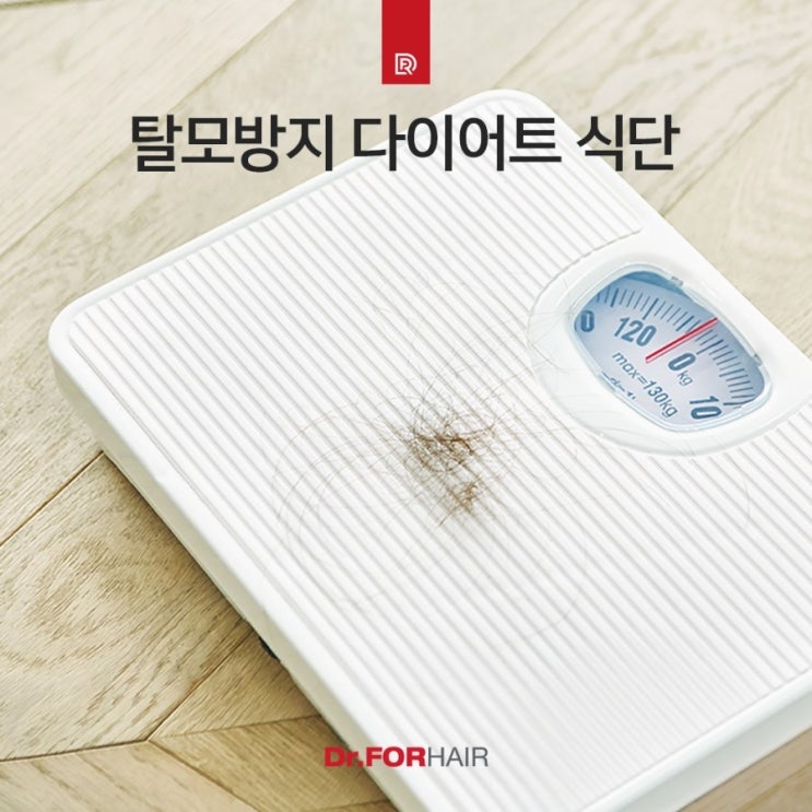 탈모방지 다이어트 식단입니다.^^ 탈모방지 다이어트 식단입니다.^^