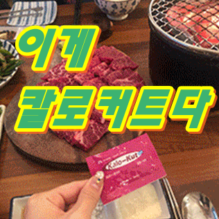 하정우다이어트 친구와