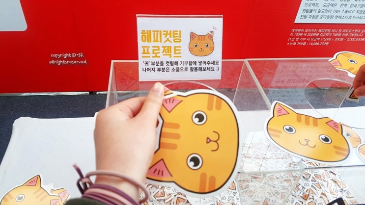  궁디팡팡 캣페스타 10회 양재 : 허전함