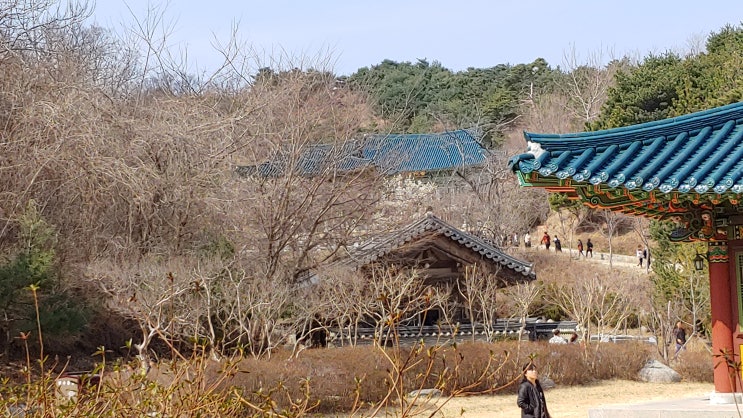 더 늦기전에 낙산사 다녀온 후기 더 늦기전에 낙산사 다녀온 후기