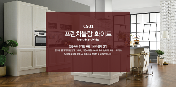   대림디움 주방가구 (씽크대) - C501