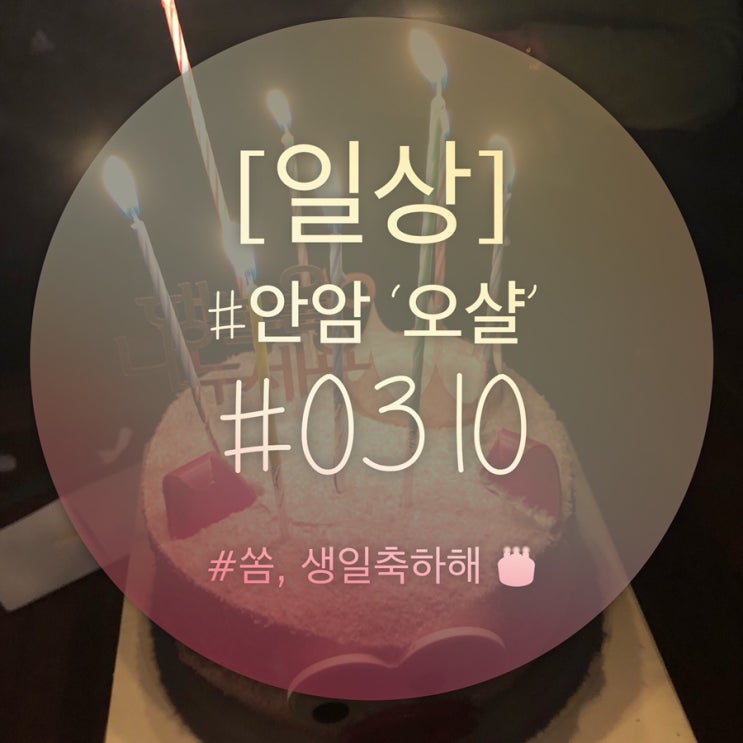  [일상] 쏨이의 생일/먹부림일상/20190310/안암OTSAL/안암오샬/인도커리맛집
