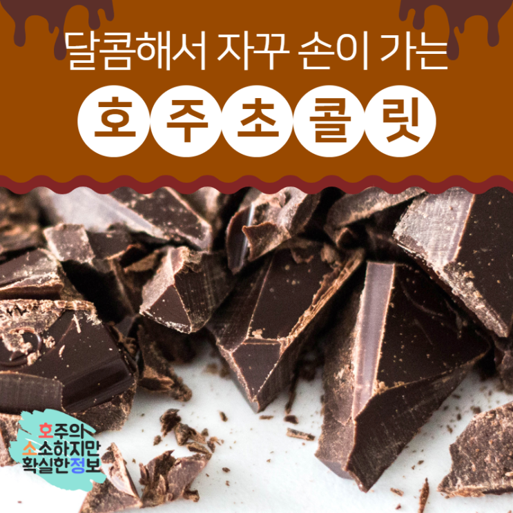  호주 초콜릿 다양하게 먹어보기