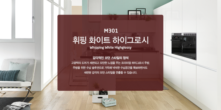  대림디움 주방가구 (씽크대) - M301
