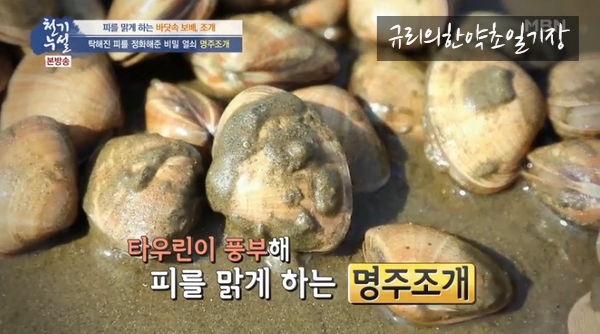  혈액을 맑게 정화하는 타우린 음식 명주조개 갈미조개 효능 조개 해감 방법