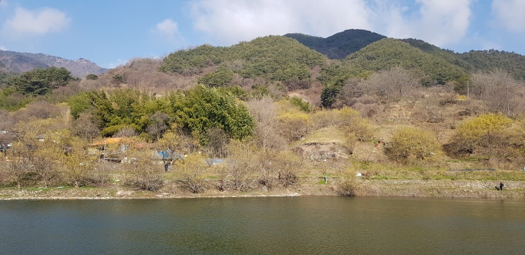  [마실] 구례 산수유 꽃놀이 나들이 현천마을 계척마을