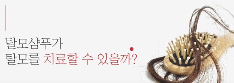  정수리 탈모샴푸 1위 좋은제품으로 쓰자