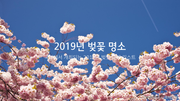 국내에서 개최되는 2019년 벚꽃 명소 축제 일정