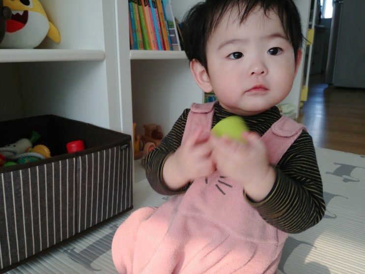  +295) 조금 더 성장!