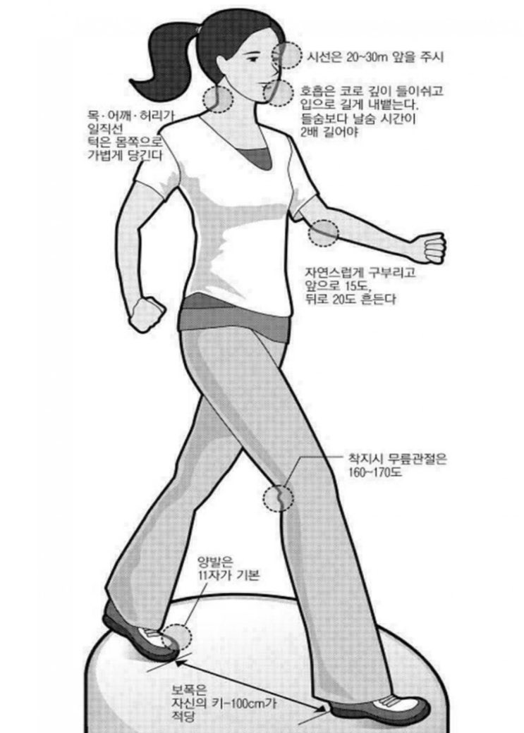  걷기 운동의 방법 및 효과
