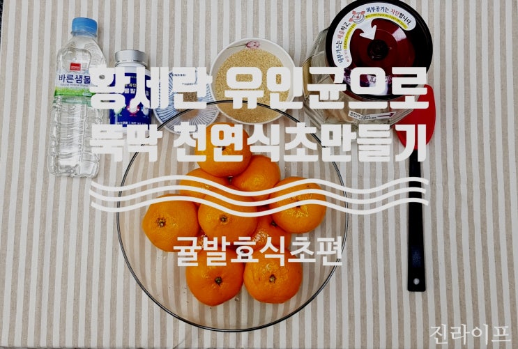 황세란 유인균으로 리얼 천연 귤발효식초 만들기 레시피 1탄 (발효종균, 식초종균 이용하기)