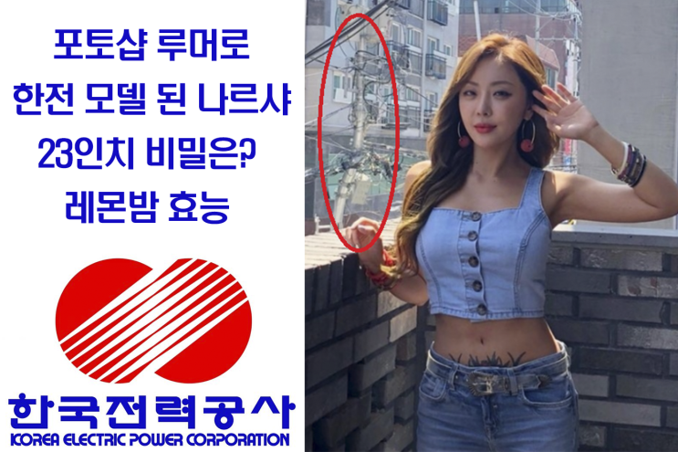  포토샵 루머로 한전 모델 된 나르샤 23인치 비밀은? 레몬밤 효능,성분
