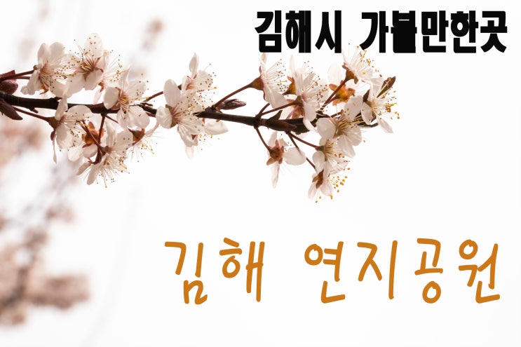  [김해] 도심속의 공원 봄맞은 연지공원